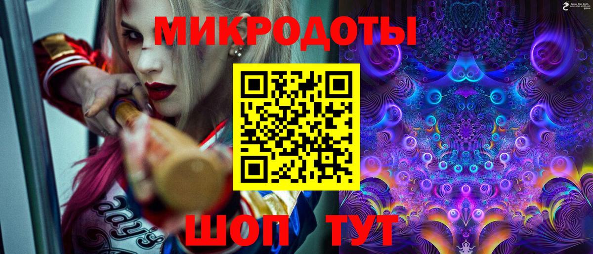 Галлюциногенные грибы Psilocybine cubensis Великий Устюг