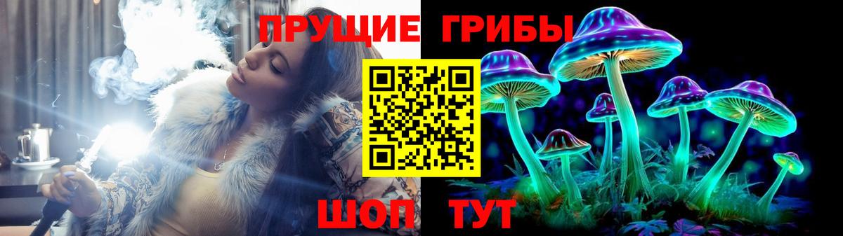 Галлюциногенные грибы Cubensis  Вход с VPN  Великий Устюг 